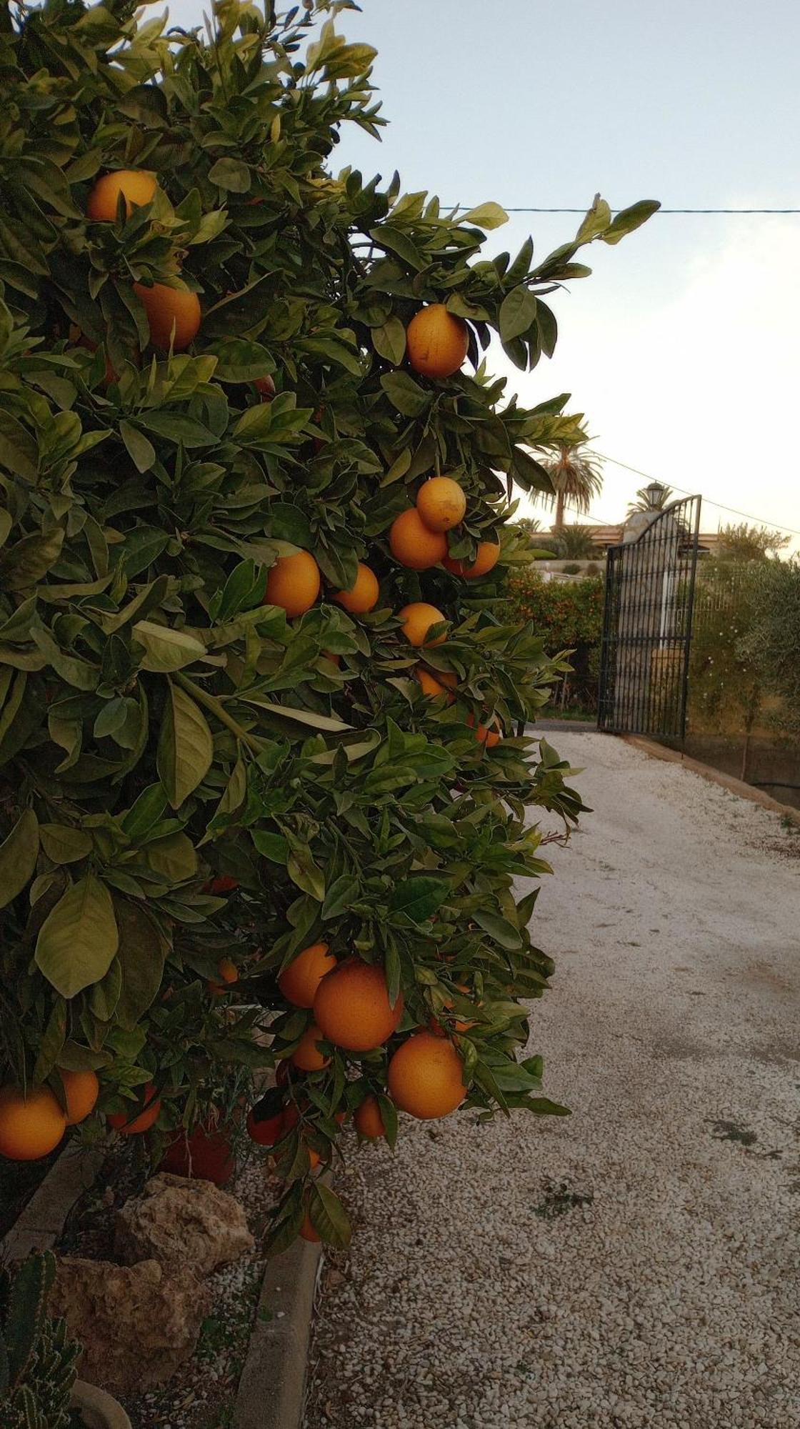 Cortijo Paulenca Villa Almería Eksteriør bilde